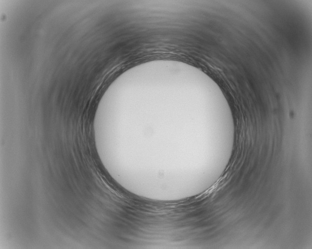 X0000059060188200510171948