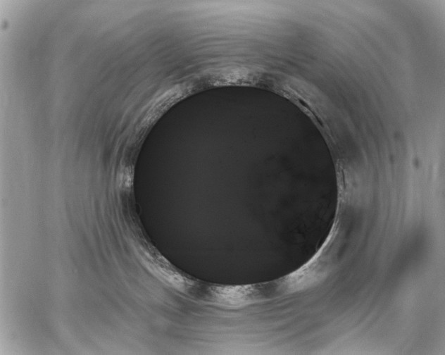 X0000059060191200510171949