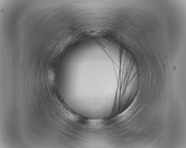 X0000059060192200510171949