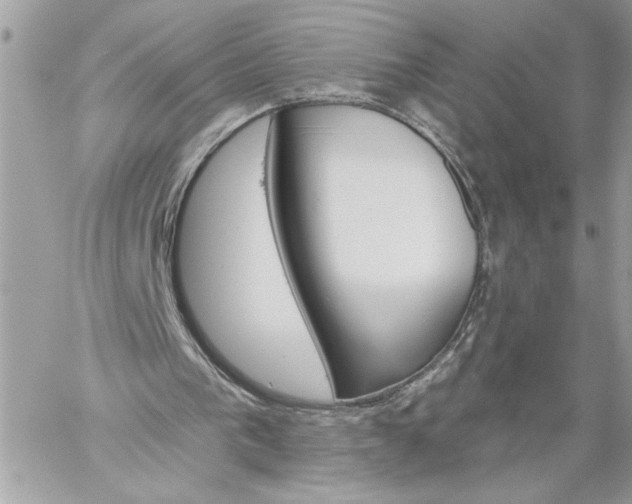 X0000059060193200510171948