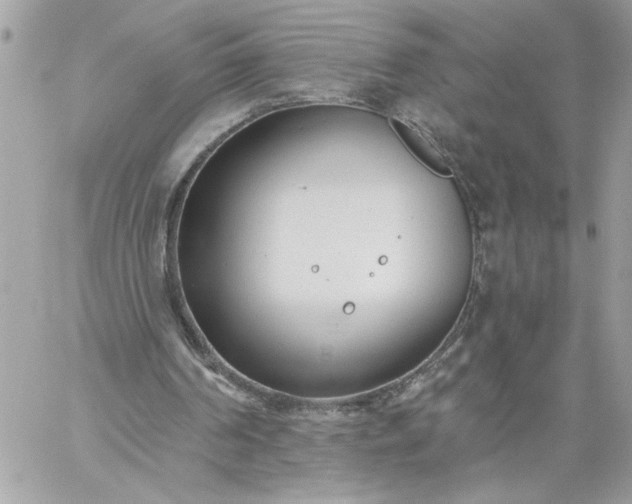 X0000059060194200510171948