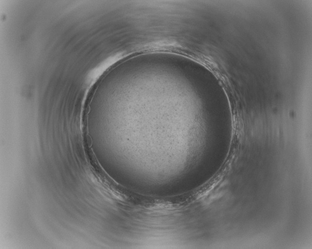 X0000059060196200510171948