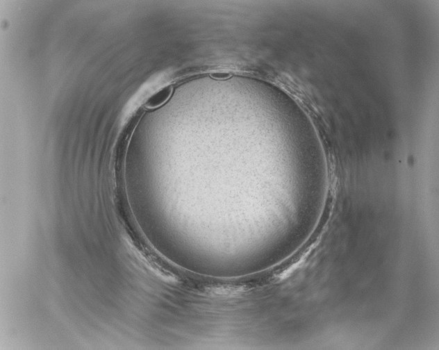 X0000059060198200510171948