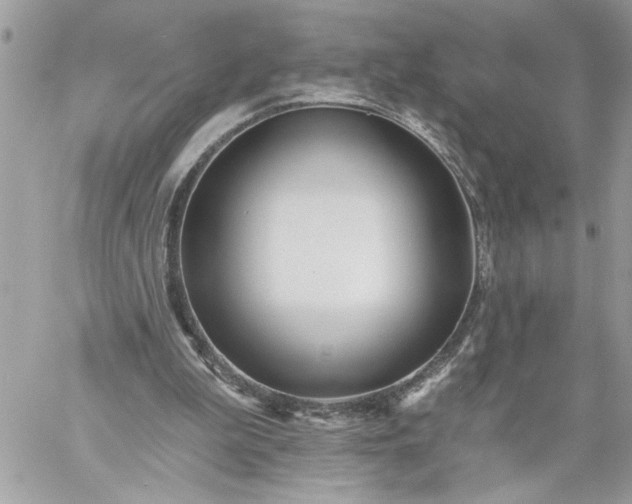 X0000059060199200510171948