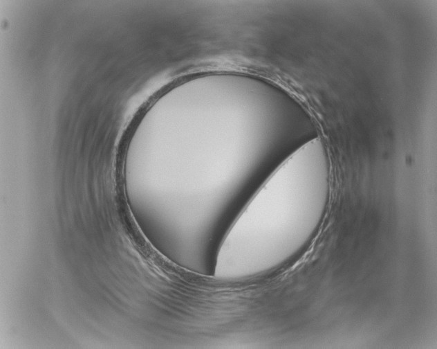 X0000059060200200510171948