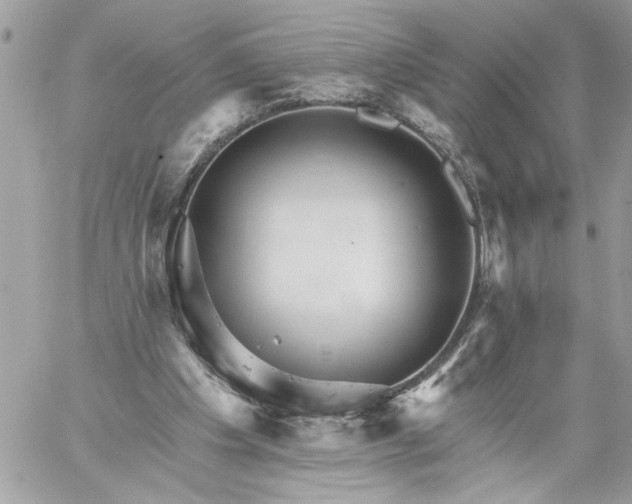 X0000059060201200510171948