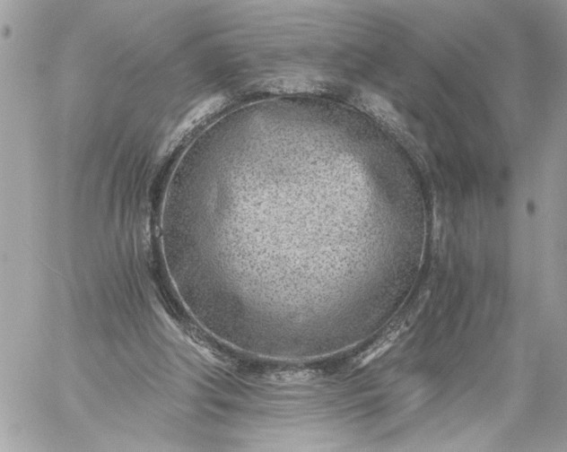 X0000059060202200510171948