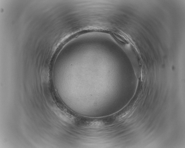 X0000059060204200510171948