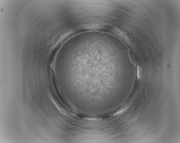 X0000059060205200510171948