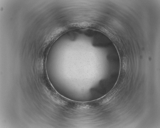 X0000059060206200510171948