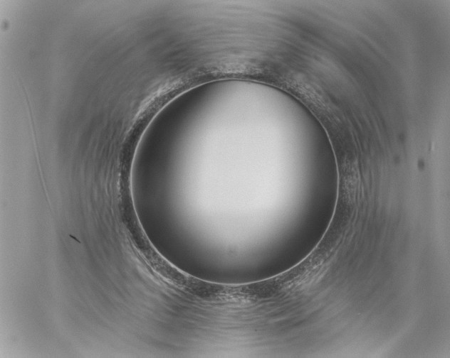 X0000059060207200510171948