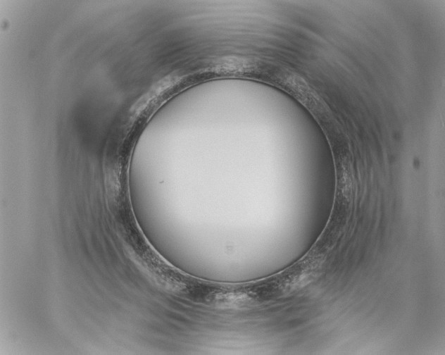 X0000059060208200510171948