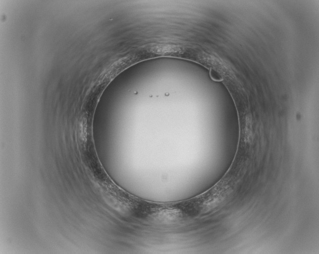 X0000059060210200510171947