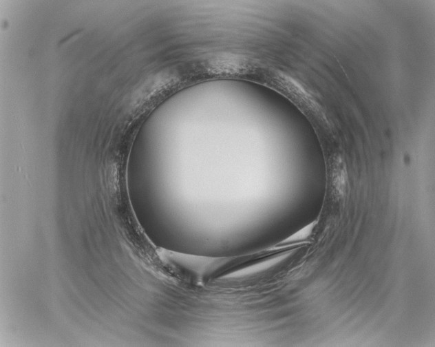 X0000059060211200510171947