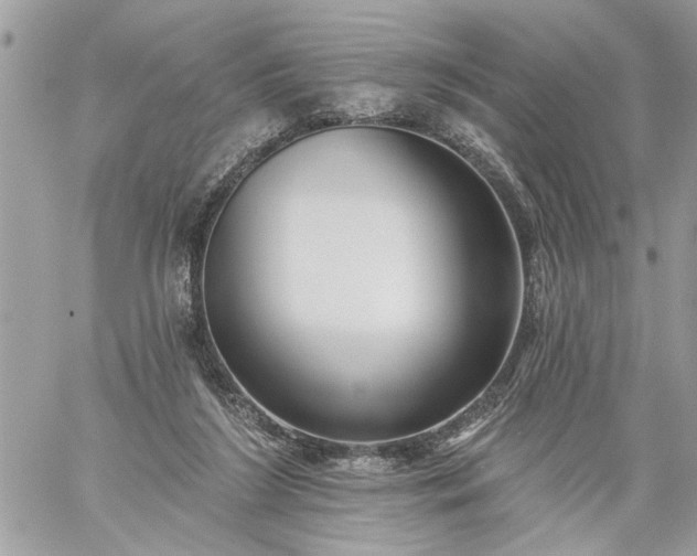 X0000059060212200510171947