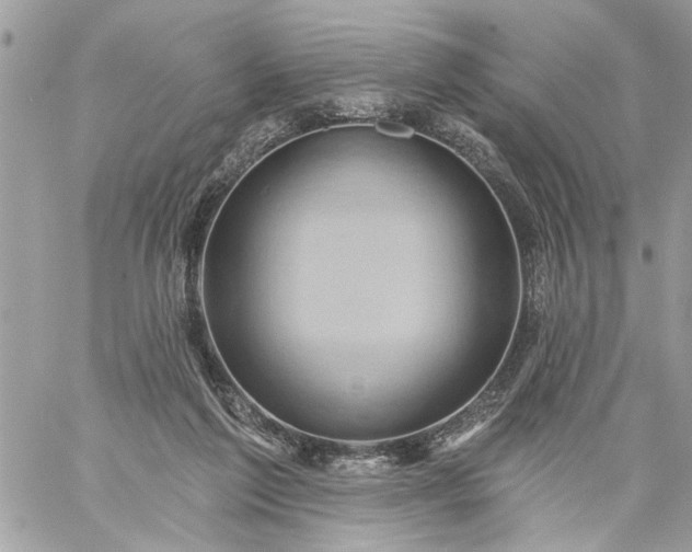 X0000059060213200510171947