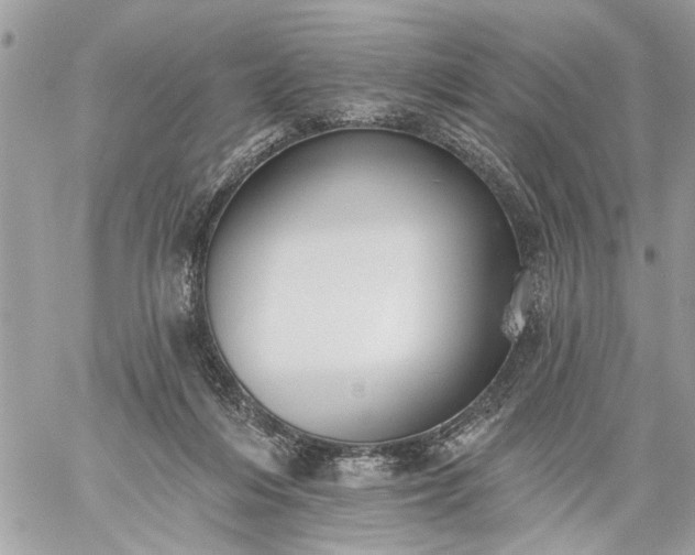 X0000059060216200510171947