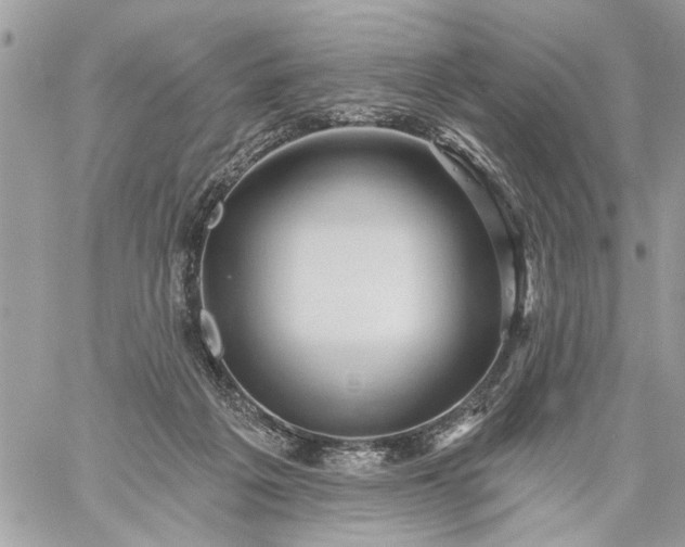 X0000059060217200510171947