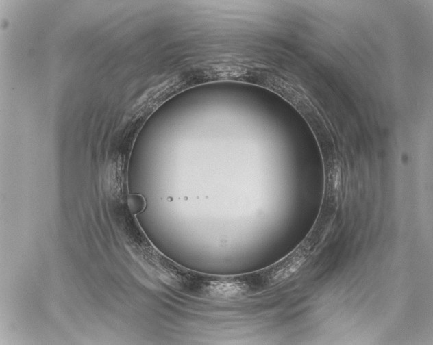 X0000059060218200510171947