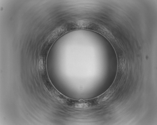 X0000059060220200510171947