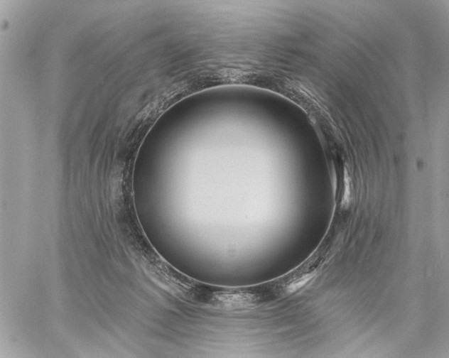 X0000059060221200510171947