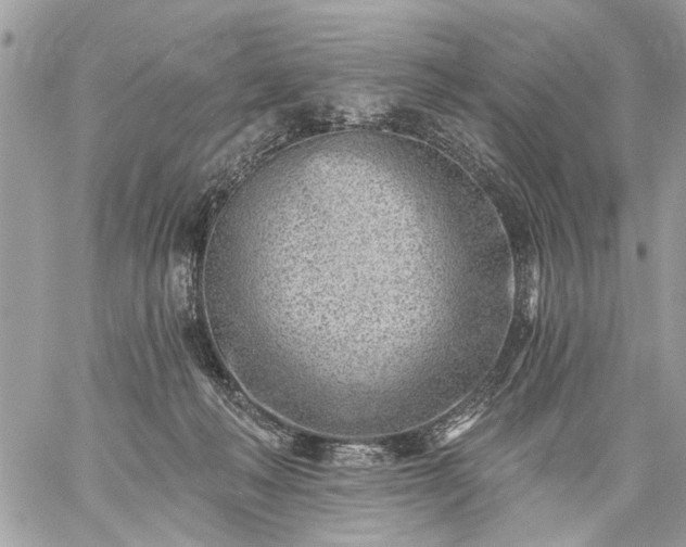 X0000059060222200510171947