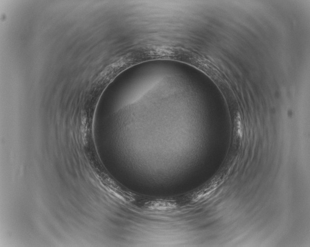 X0000059060223200510171947