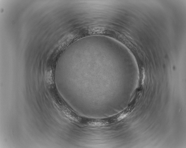 X0000059060224200510171947