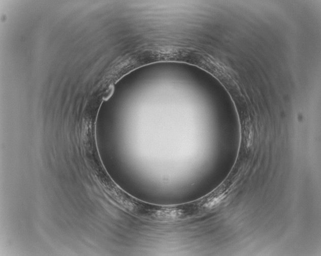 X0000059060225200510171947