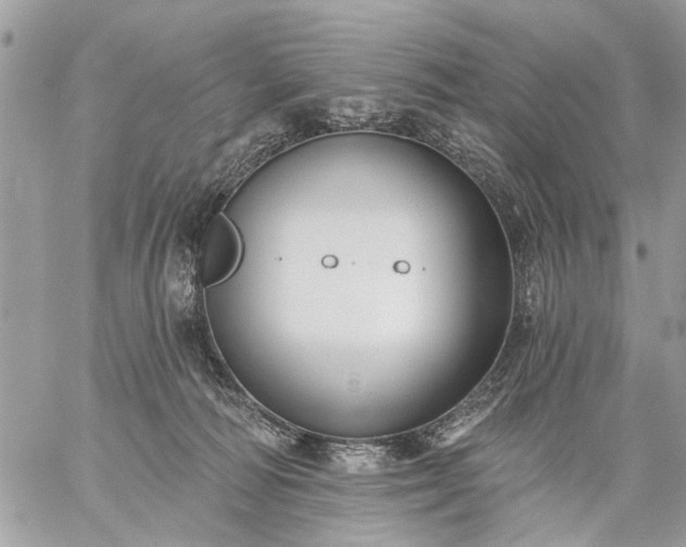 X0000059060226200510171947