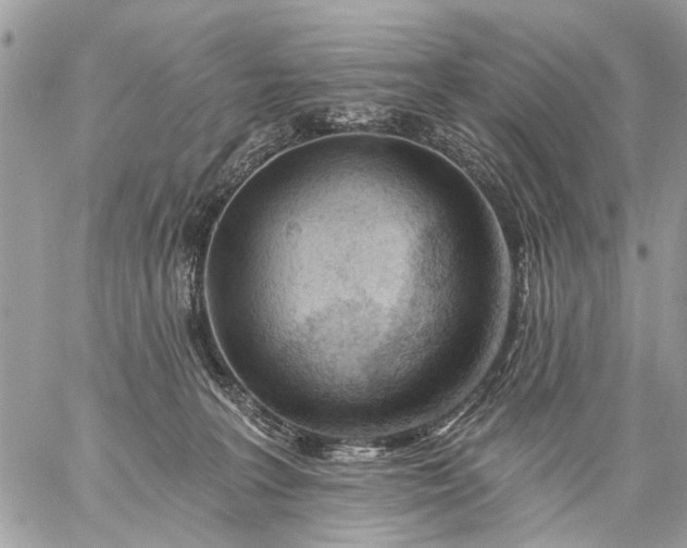 X0000059060227200510171947