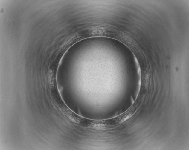 X0000059060228200510171947