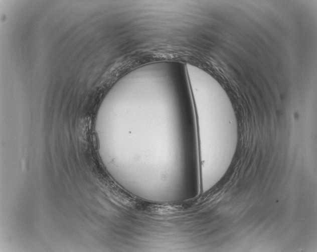 X0000059060229200510171947