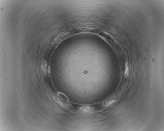 X0000059060231200510171947