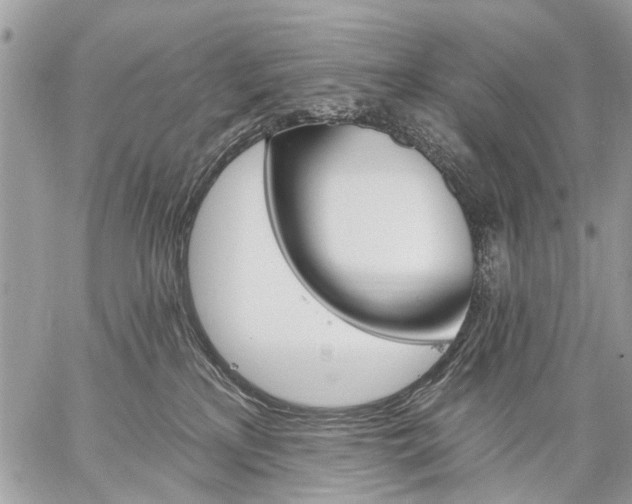 X0000059060233200510171947