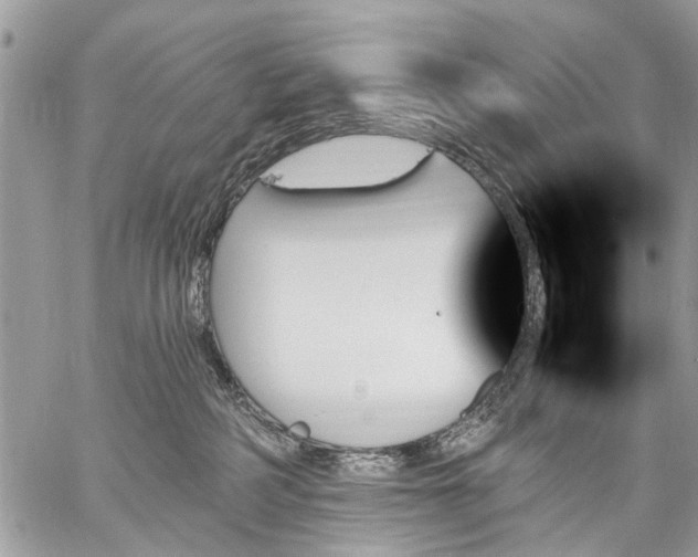 X0000059060234200510171947