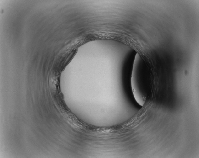 X0000059060235200510171947