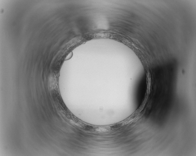 X0000059060236200510171947