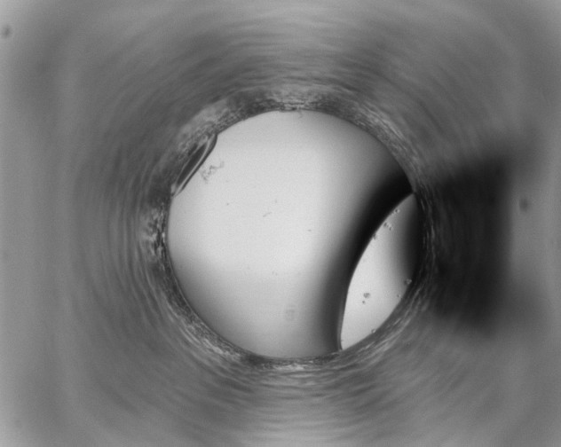 X0000059060237200510171947