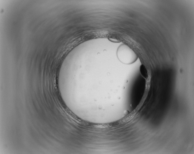 X0000059060238200510171947