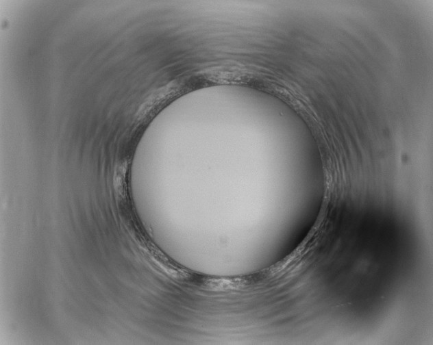 X0000059060239200510171947