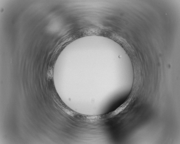 X0000059060240200510171947