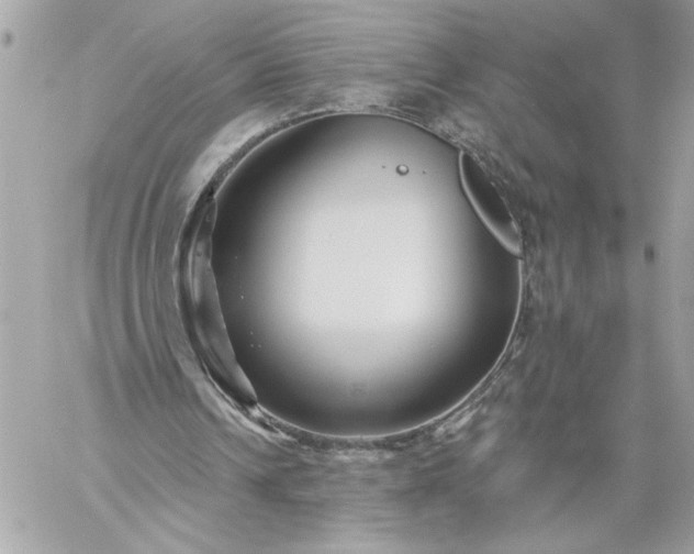 X0000059060242200510171946