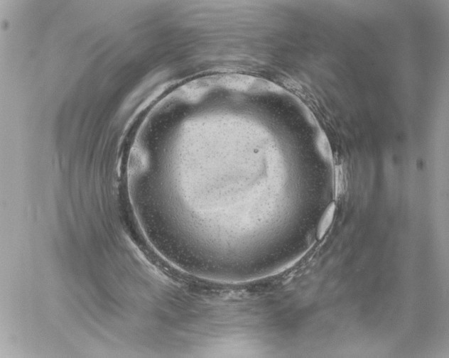 X0000059060243200510171946