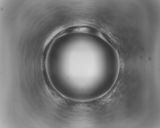 X0000059060244200510171946