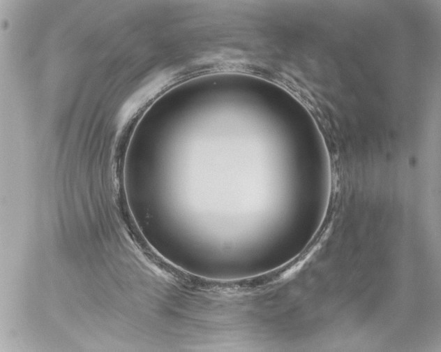 X0000059060245200510171946