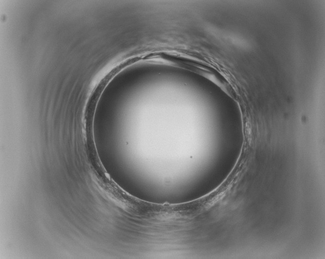 X0000059060246200510171946