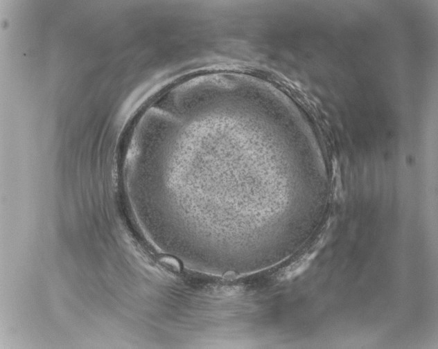 X0000059060247200510171946