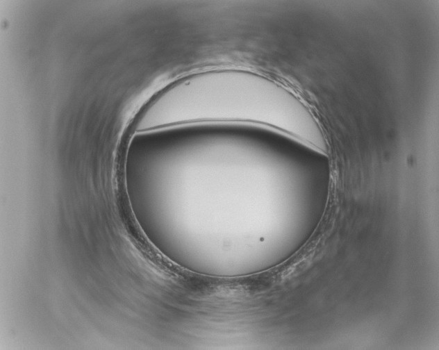 X0000059060248200510171946