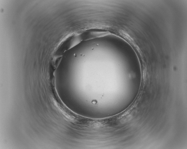 X0000059060249200510171946